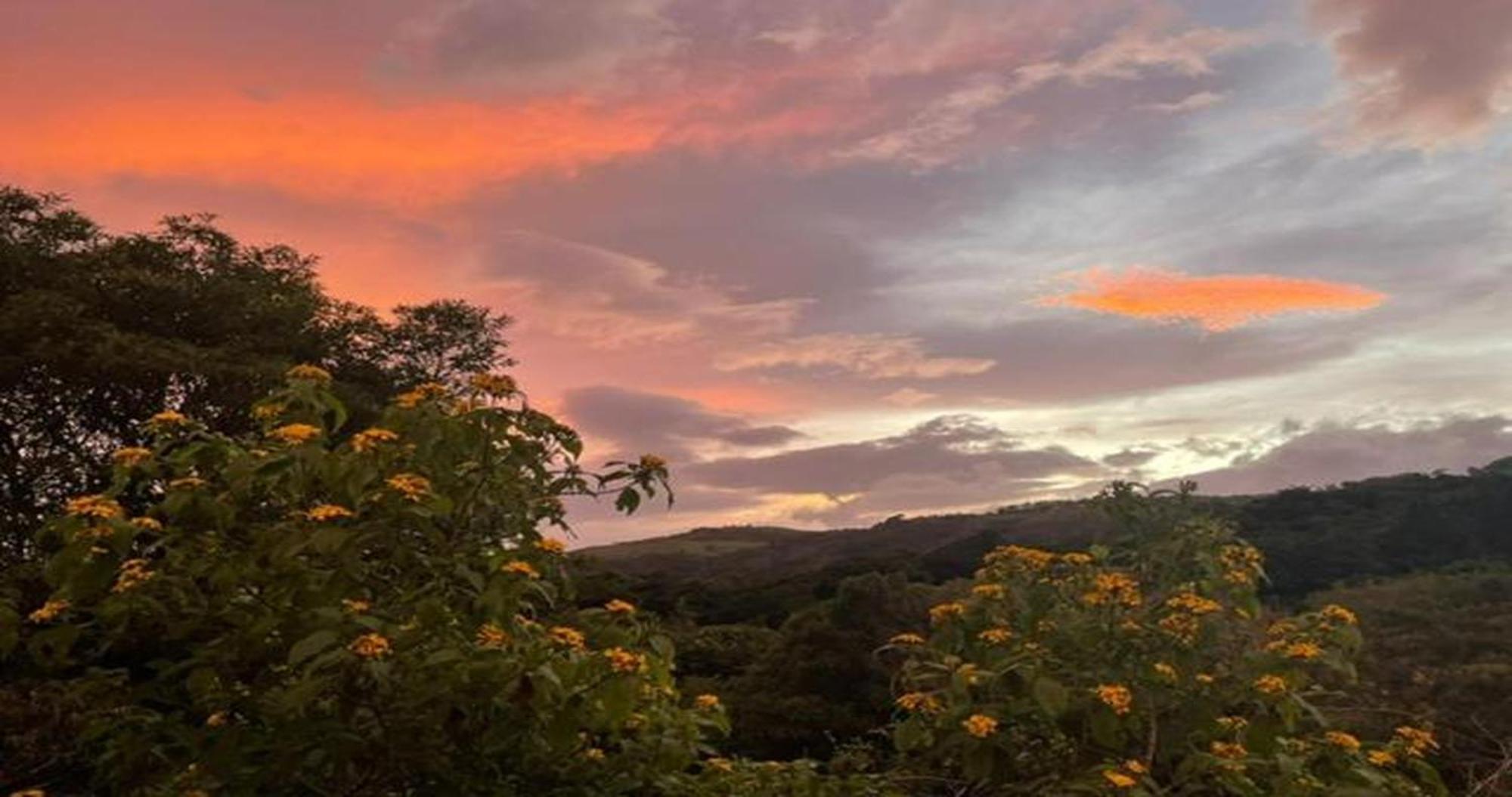 Las Marias Monteverde - Mountain View Cottages & Gardens Exterior foto